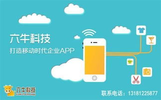 临沂零售企业app软件定制开发有什么用处