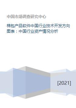 棉包产品软件中国行业技术开发方向图表 中国行业资产情况分析